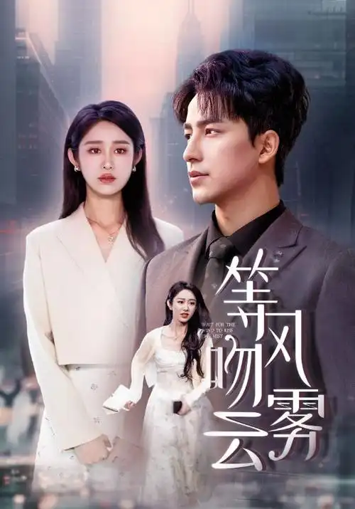 影片索引卡封面：年代剧集档案，标注时代背景与集数字段